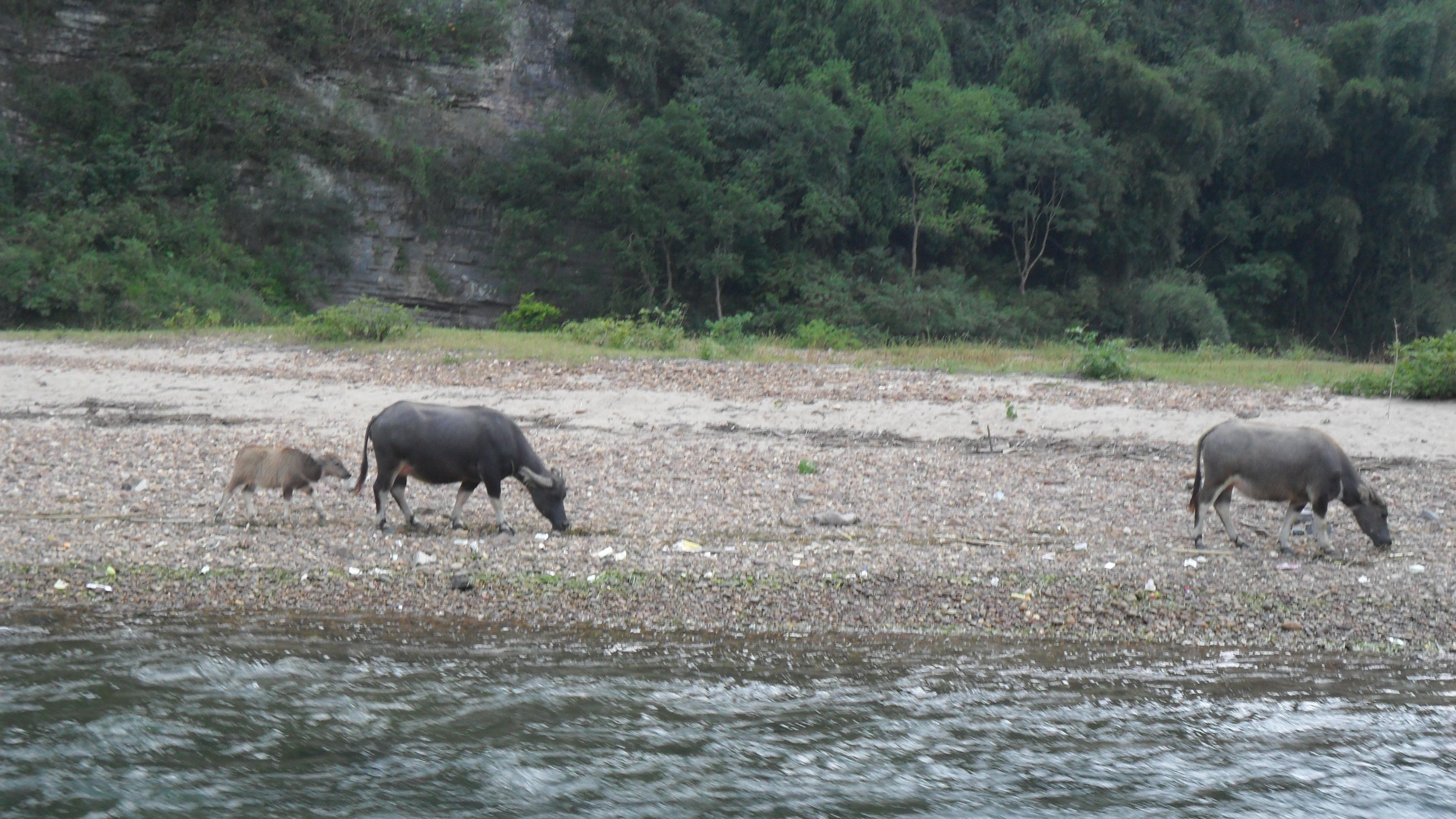 桂林北站到十字街 桂林北站到阳朔 桂林北站到