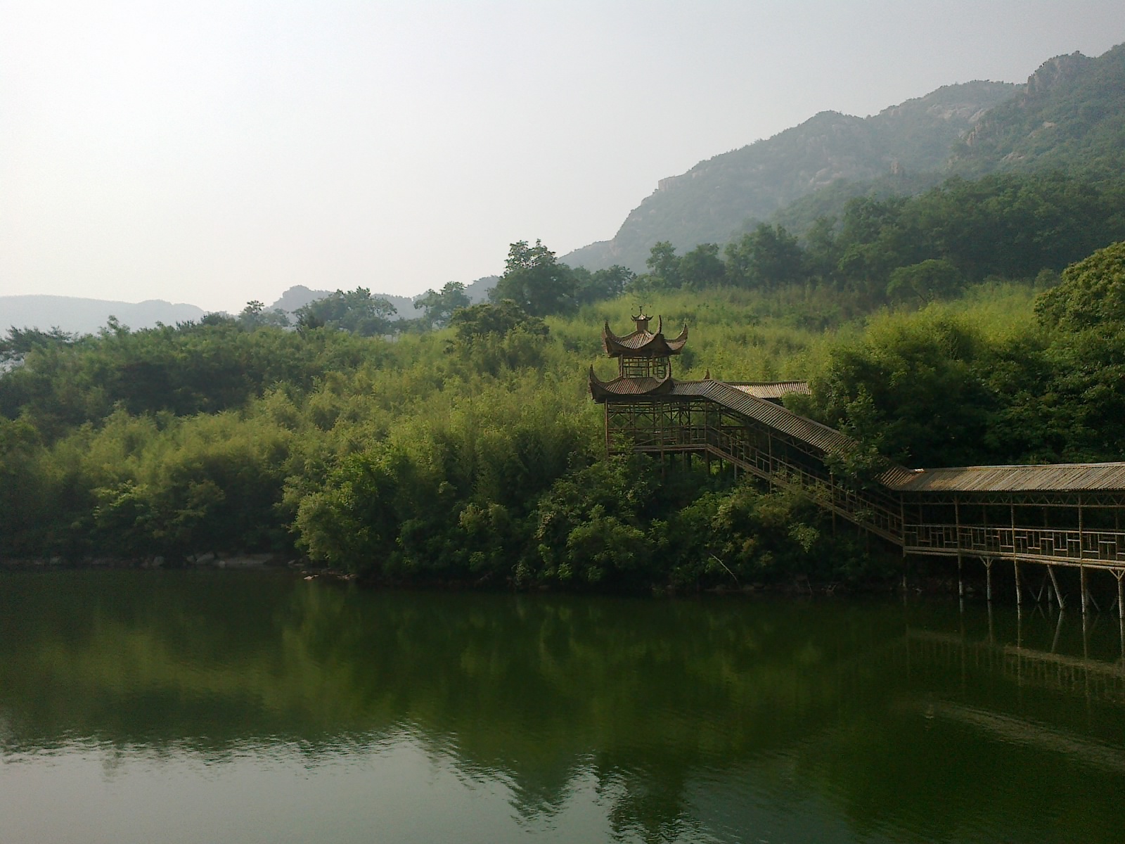 海阳云顶竹林