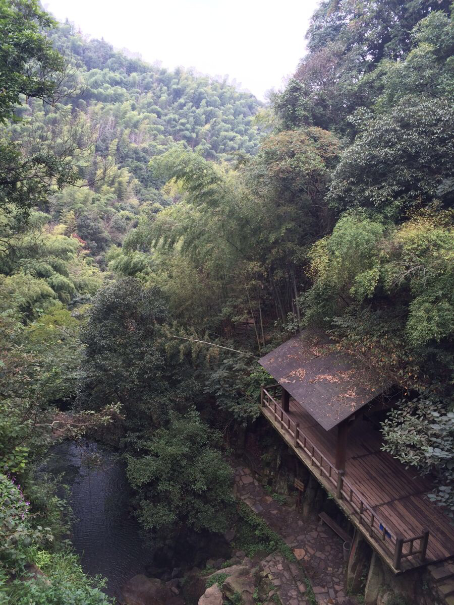 金秋九月莫干山之行|莫干山游记-携程旅行