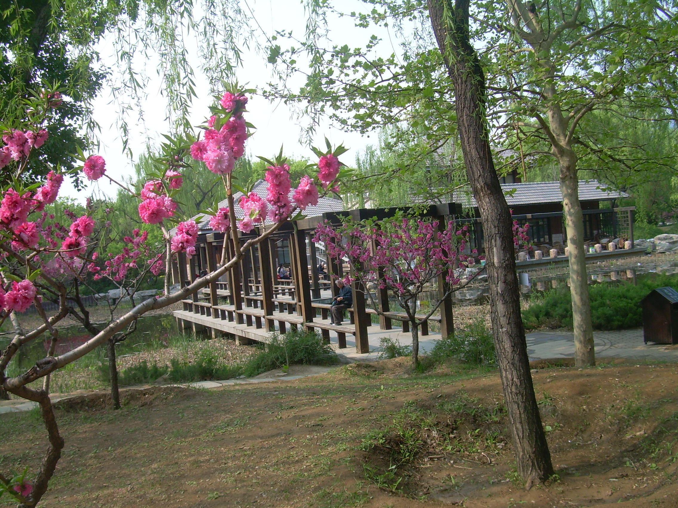 春游北京植物园