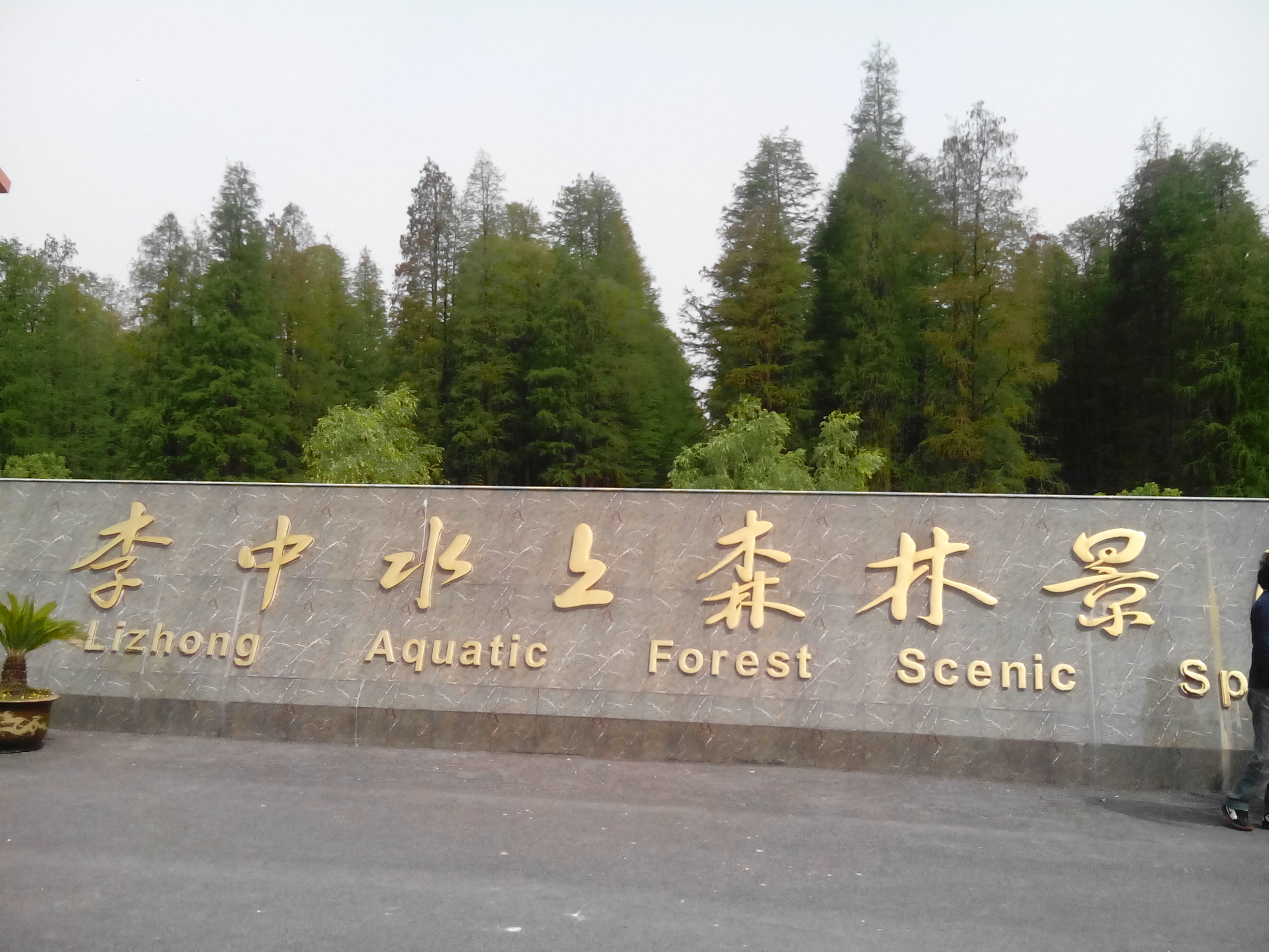 2014年五一节江苏泰州溱湖湿地和兴化李中森林公园2日游