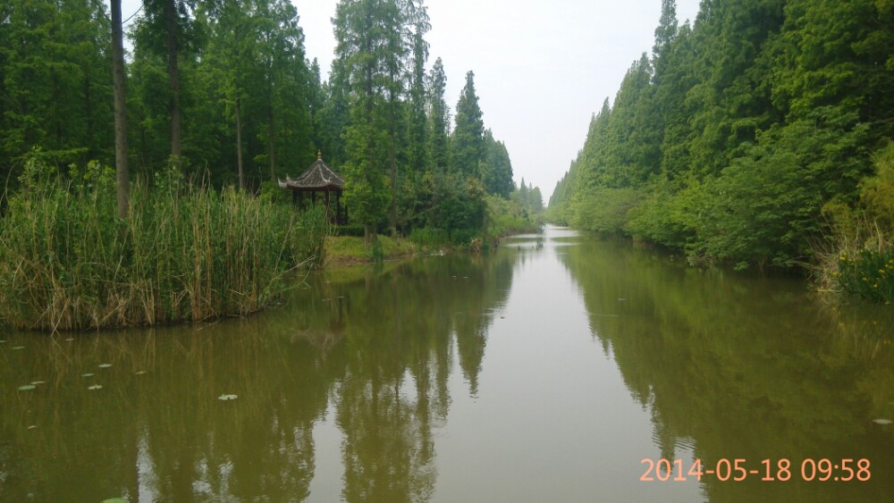 宝应湖国家湿地公园