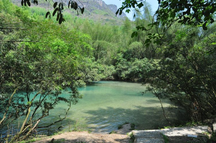 贵州游记之平塘甲茶景区