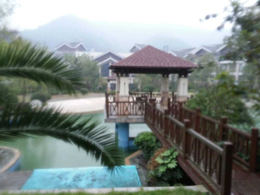 阳明温泉