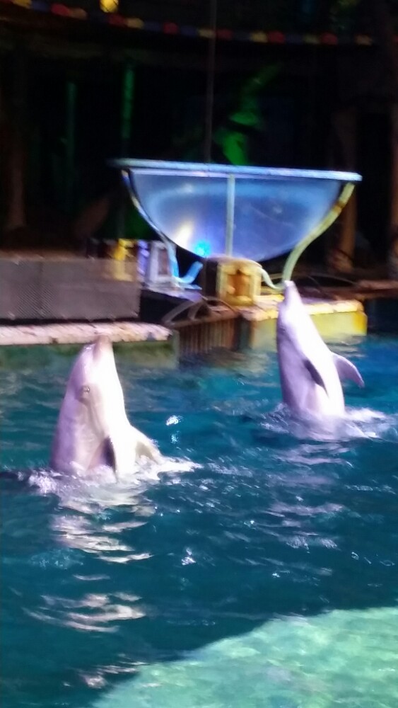 女潜水教练_潜水教练收入(3)