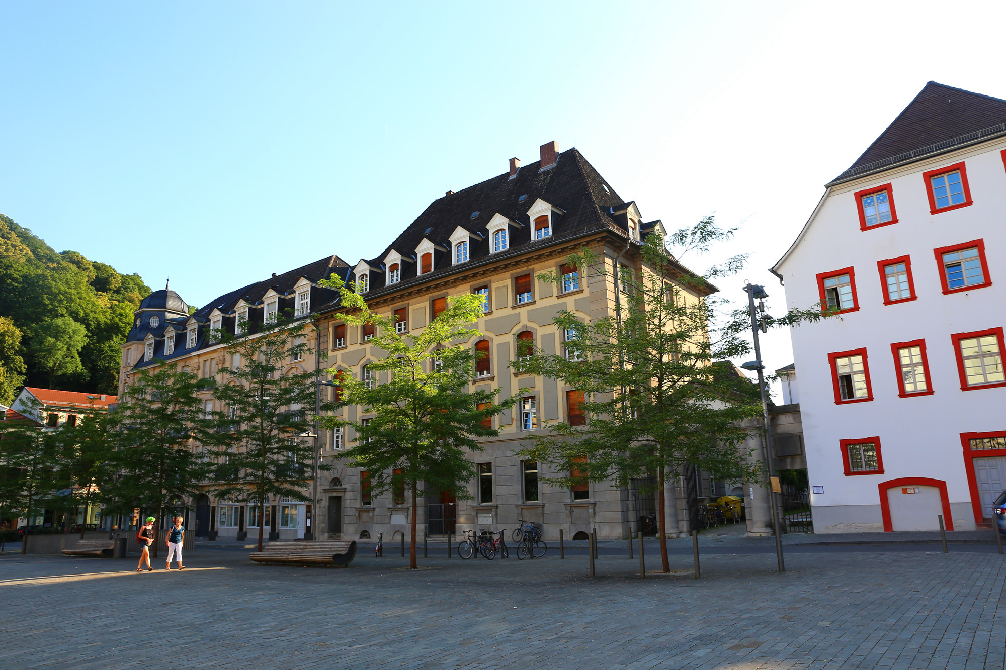 德国海德堡大学