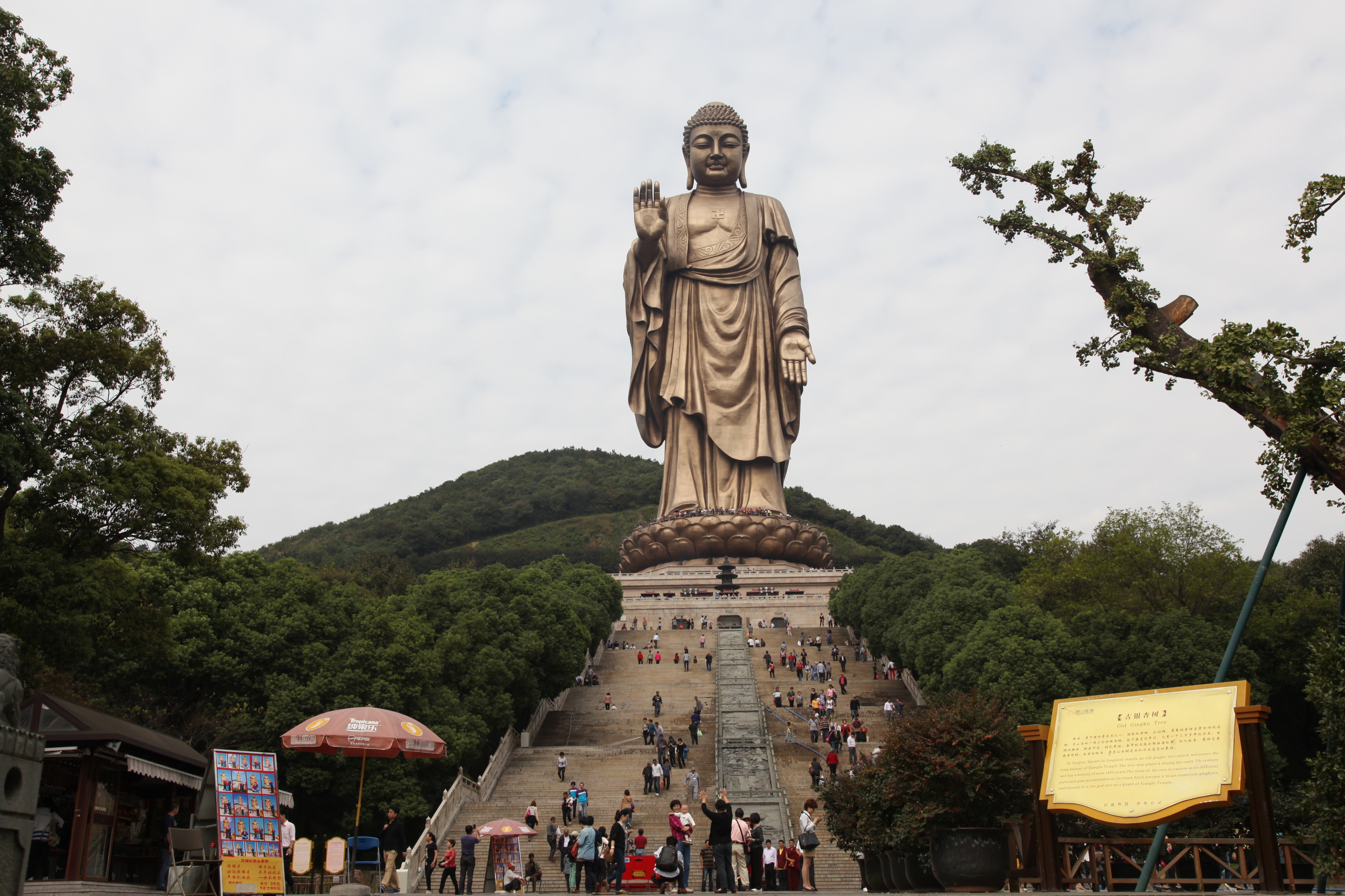 无锡灵山大佛_广西灵山养蛇技术视频_中泰拳王争霸赛来无锡_无锡灵山大佛_艾滋病检测试纸公益