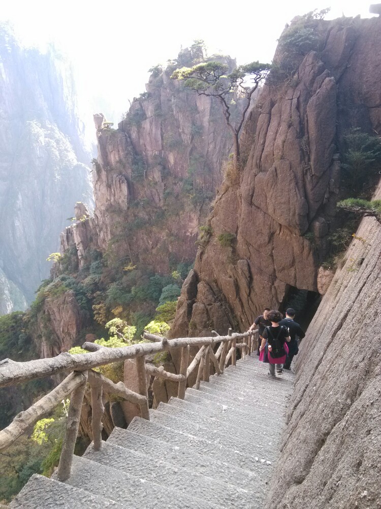 西海大峡谷,黄山西海大峡谷攻略/地址/图片/门票