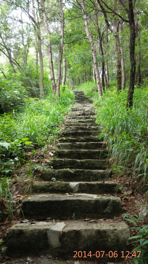 青龙山森林公园