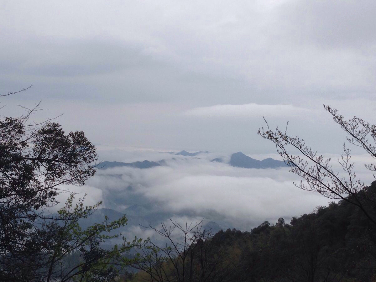 阳岭云海,如若仙境