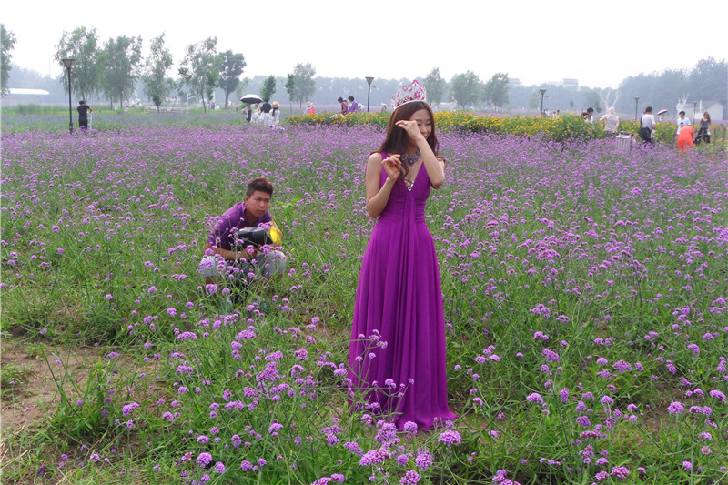 蓝调熏衣草庄园