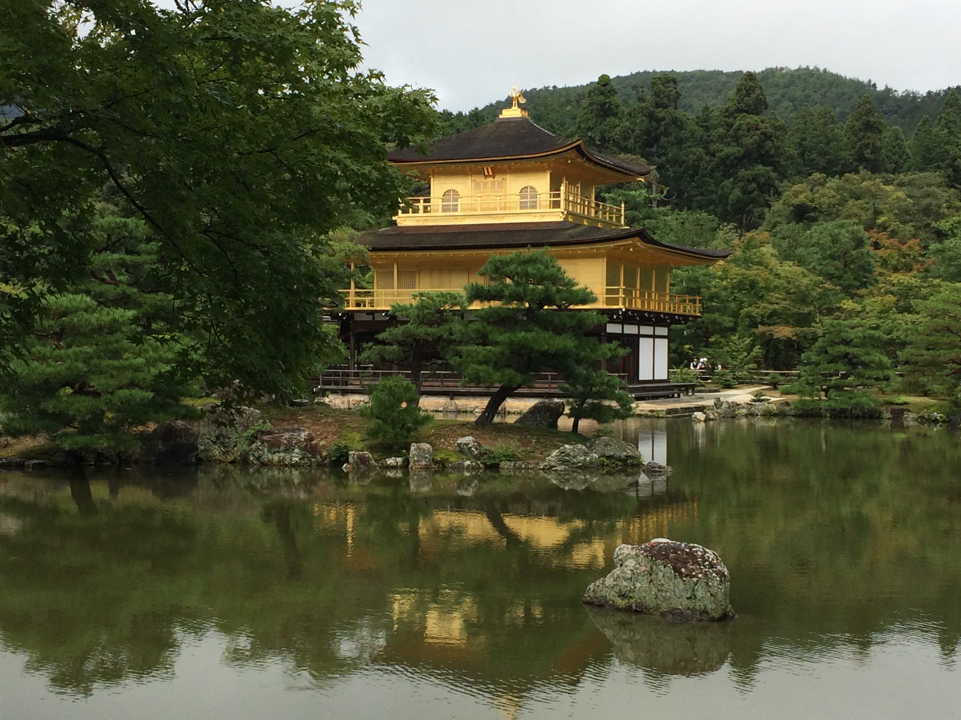 金阁寺,京都金阁寺攻略/地址/图片/门票【携程攻略】