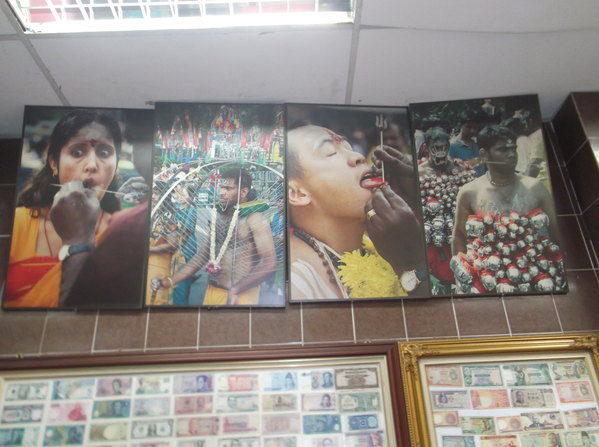 长袍面纱寺庙,一望无际的柚棕树,神秘浪漫的马