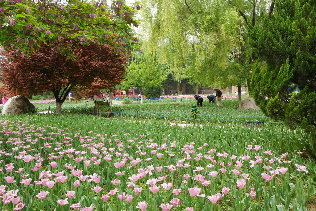 西安植物园