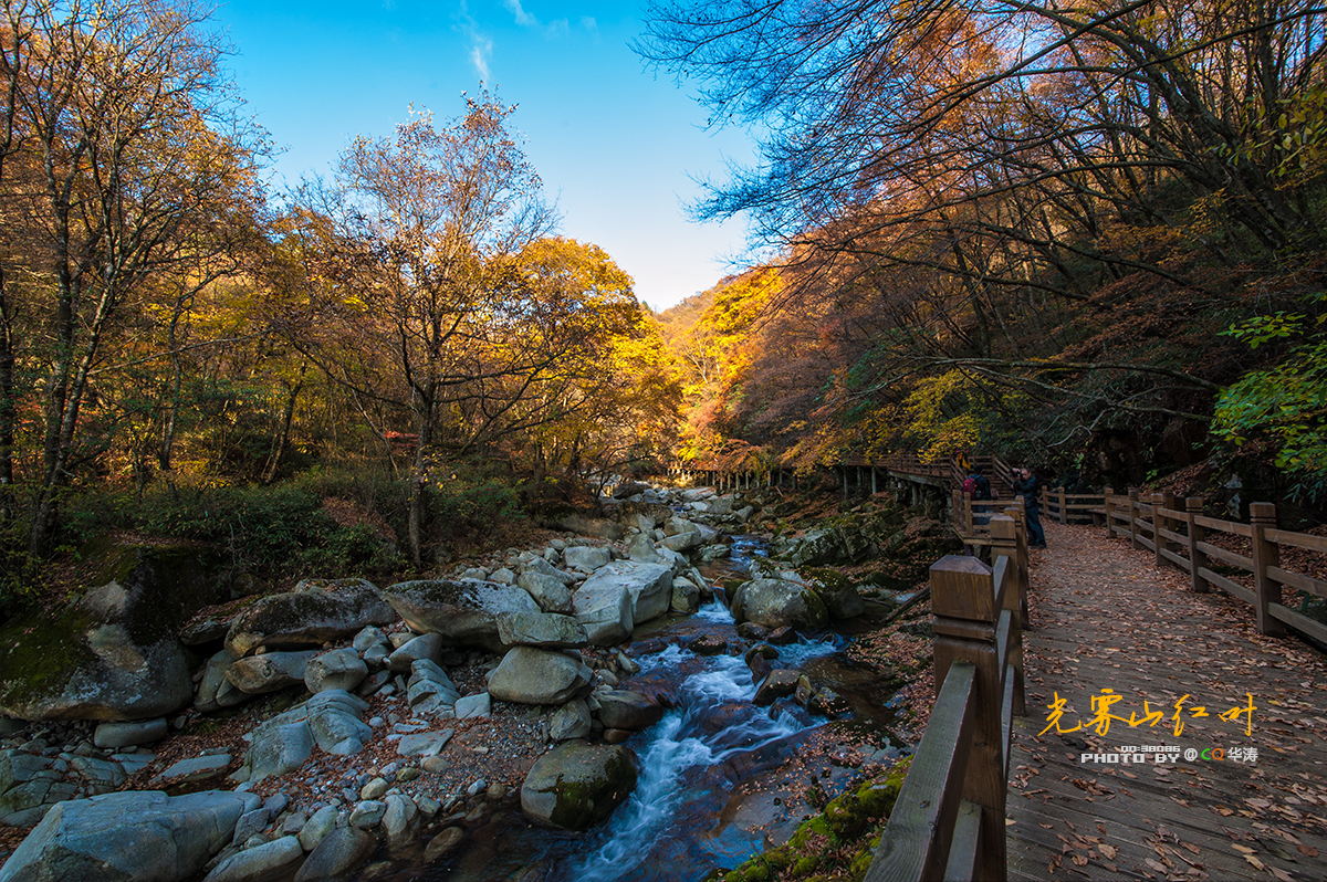 米仓山古栈道