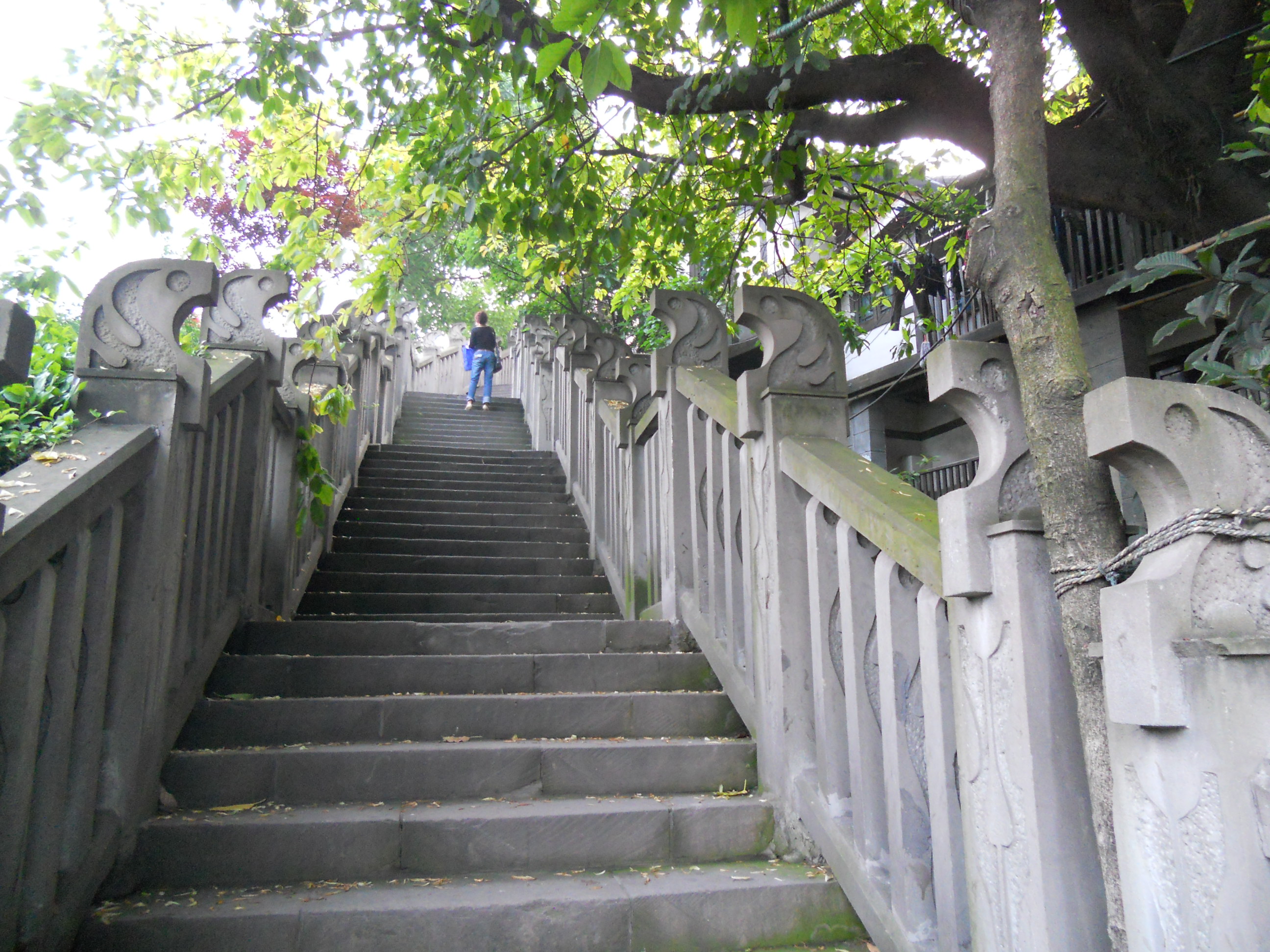                     山城步道.