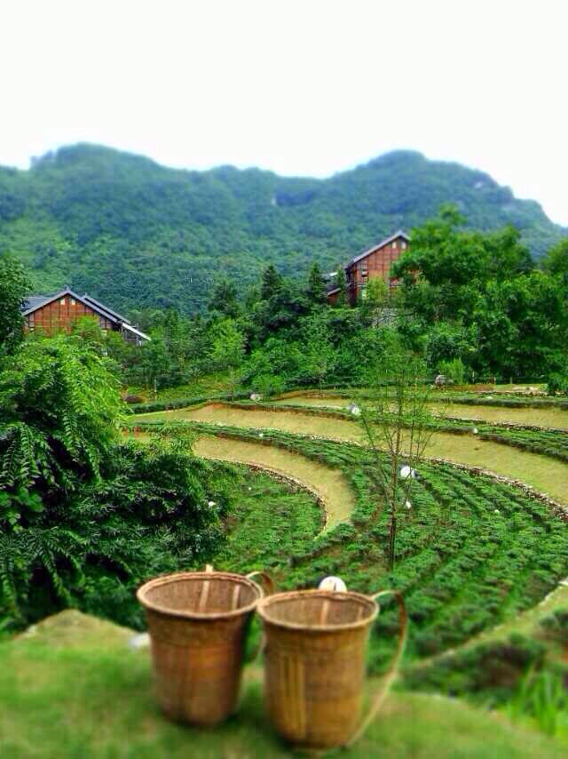 醉人张家界,自在禾田居