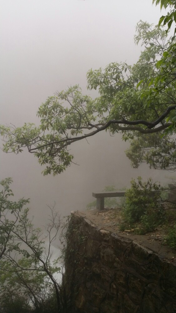 候鸟天堂〔鄱阳湖〕飞流直下三千尺,一世银河落九天
