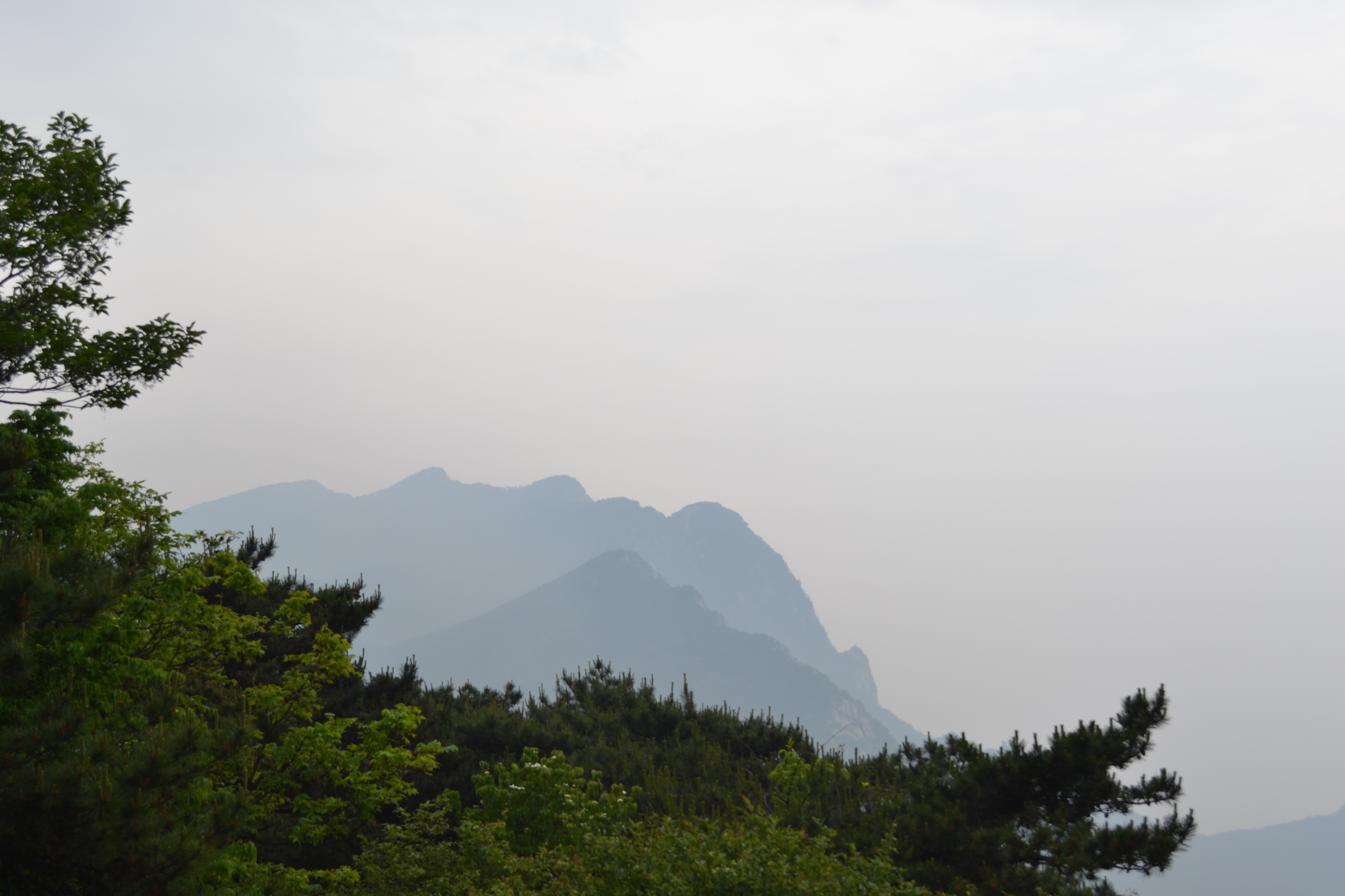 人间仙境