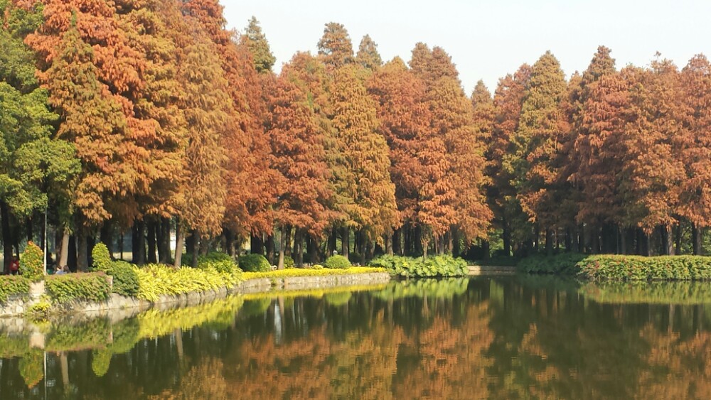 【携程攻略】广州流花湖公园适合家庭亲子旅游吗,流花湖公园家庭亲子