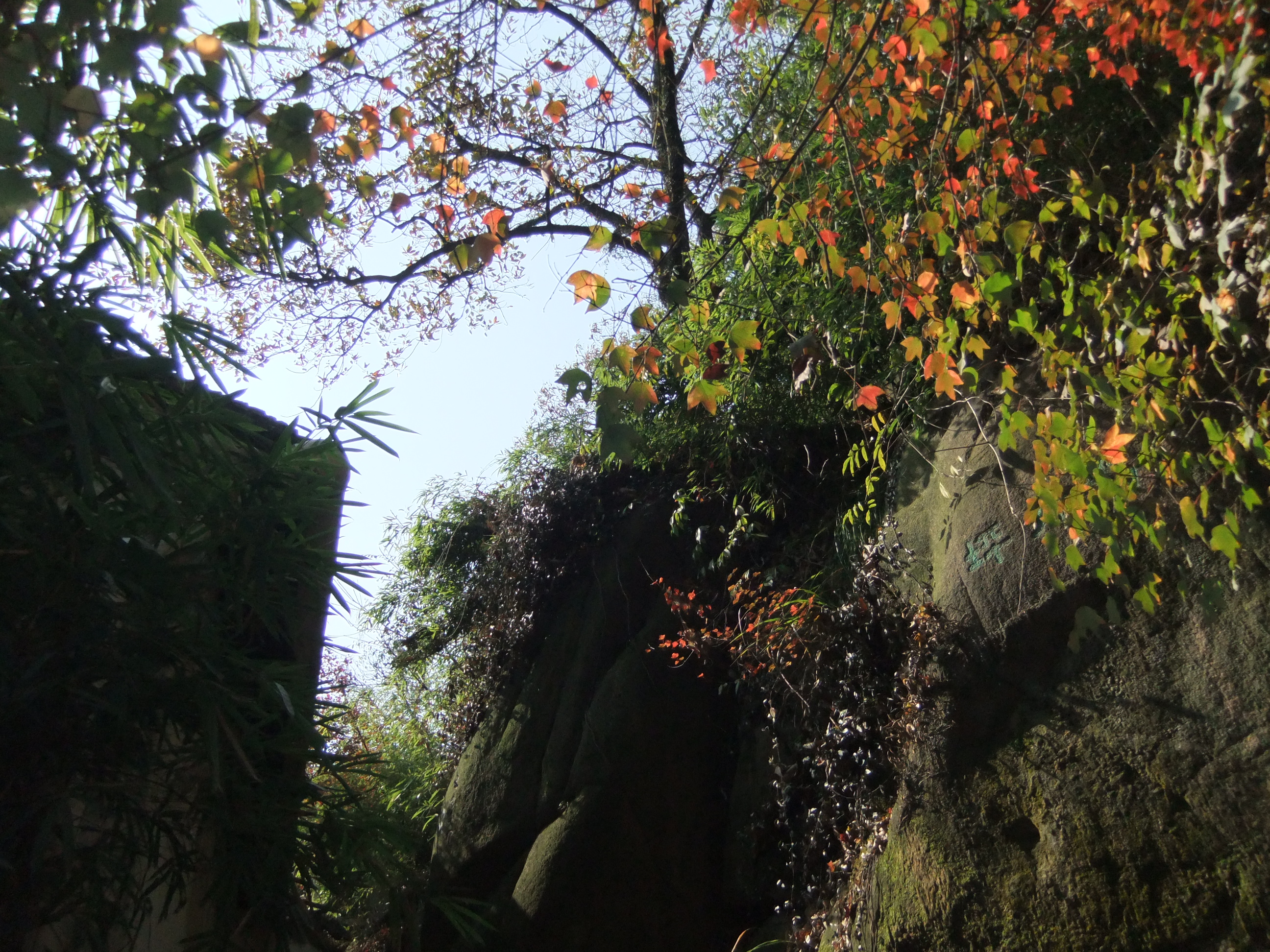 天平山风景区,林州天平山风景区攻略/地址/图片/门票