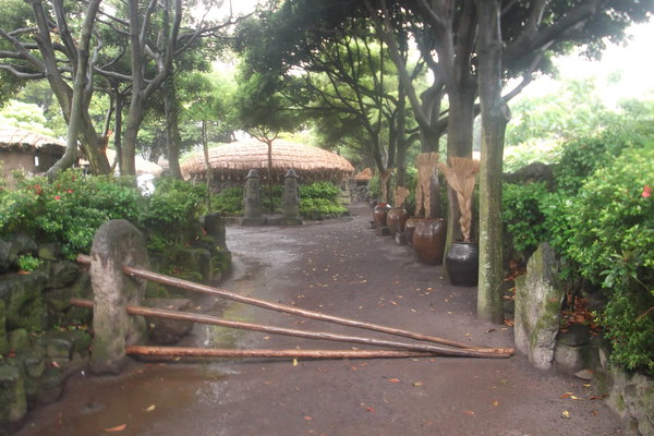 济州岛之行6月12日-6月15日续集