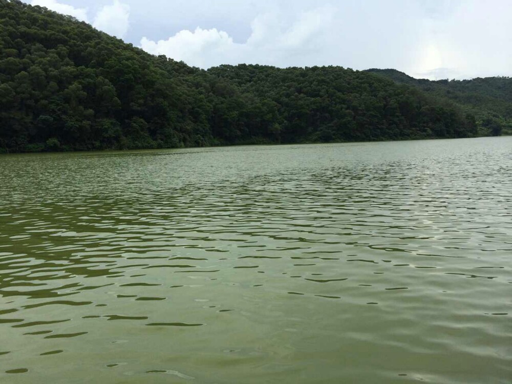 佛山仙湖度假区攻略,佛山仙湖度假区门票/游玩攻略/地址/图片/门票