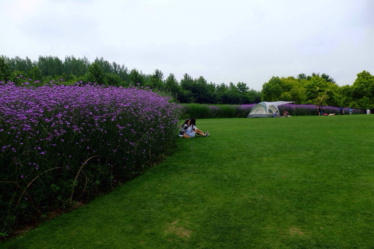 bikini#上海世纪公园游