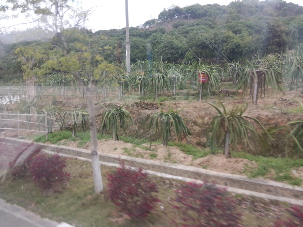 广东省内两日游_广东省内两日自驾游_广东省