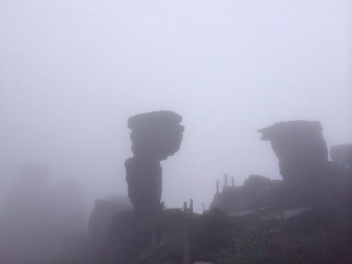 浑身湿透,只可惜云雾太厚,天气不佳,无缘看到美景,遗憾结束梵净山之旅