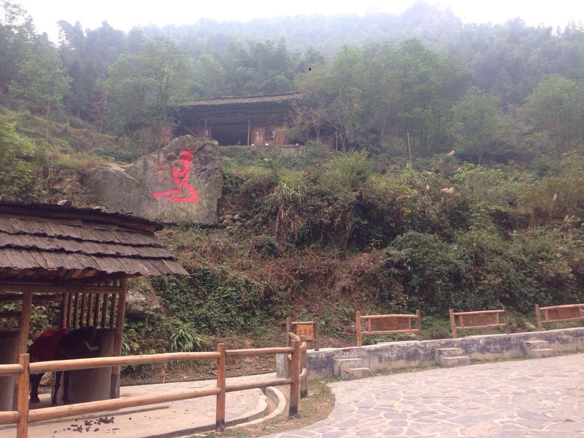 ŵ羰