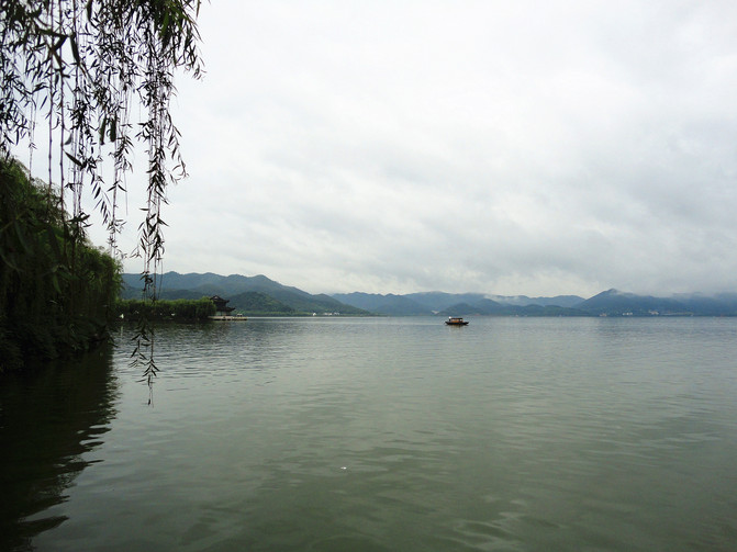 雨中漫步东钱湖,四明山上摘杨梅