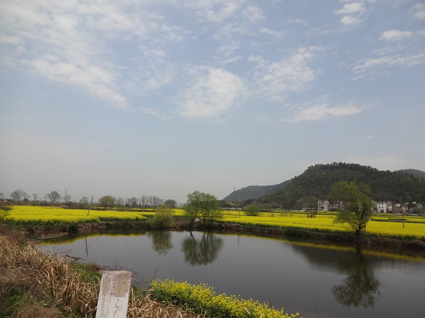 一朝芳草碧连天<em>女尊</em>_一二三木头人<em>女尊</em>_一树