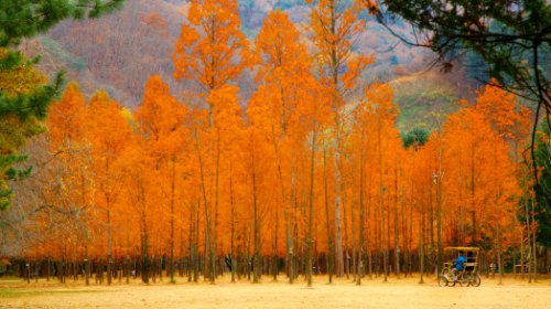 春川景点景区图片-春川风景名胜图片-春川旅游照片-携程社区手机图库