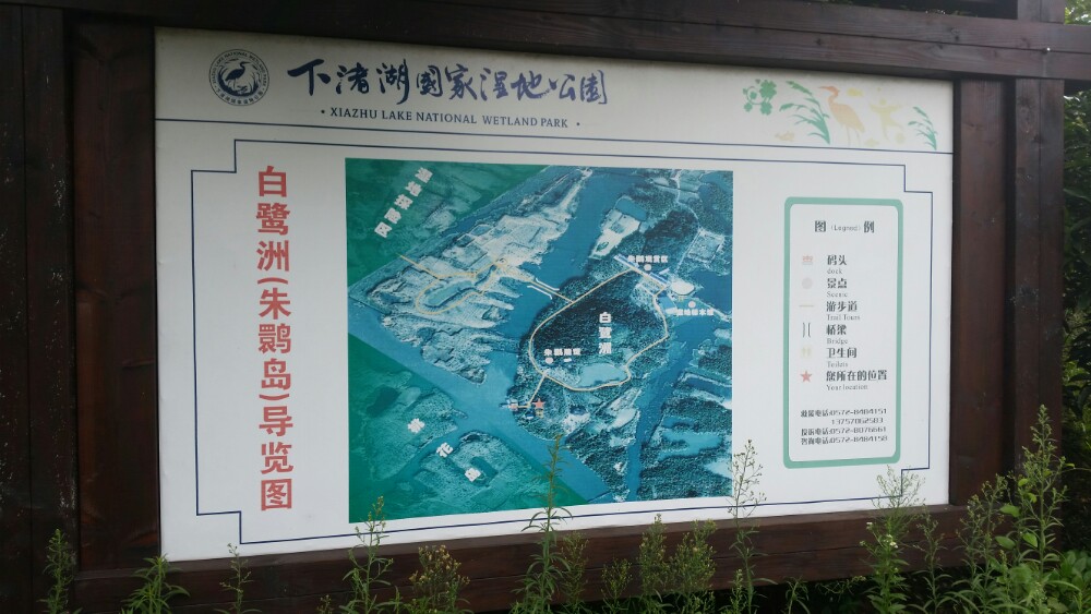 德清下渚湖湿地公园