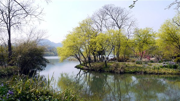 "苏堤春晓"正是应景时节,君可见"一行桃树一行柳",也可见"桃柳间隙全