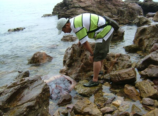 长岛环海6天5晚青岛银滩乳山威海蓬莱山东自susu站攻略图片