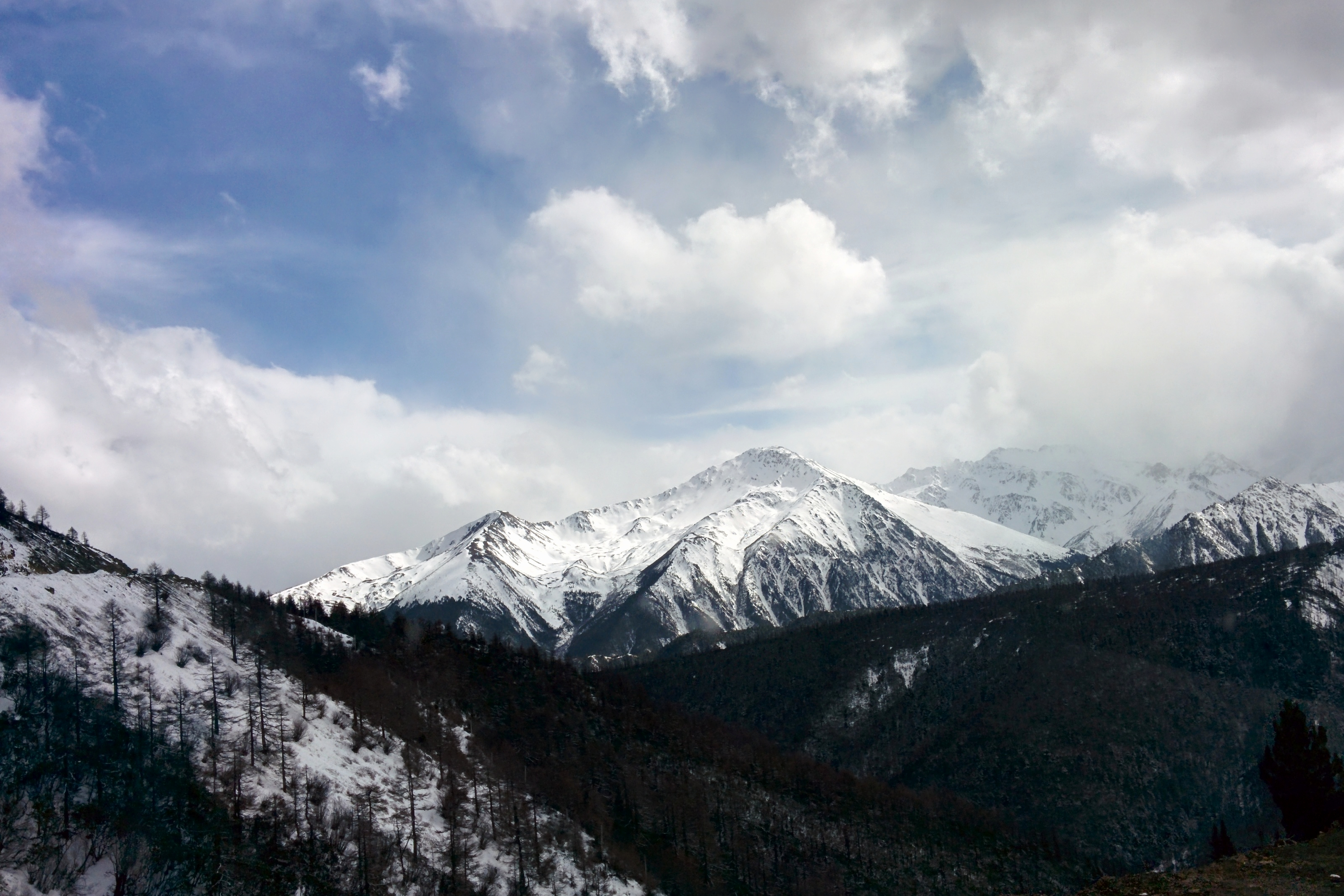 白马雪山