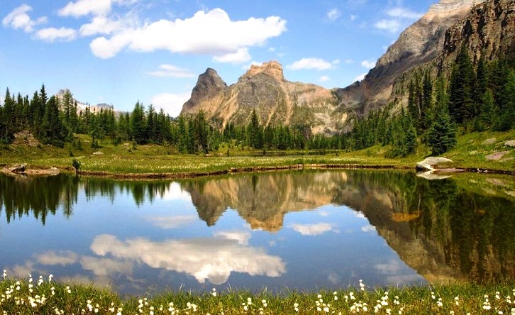 【烟台】美国东西海岸+黄石公园+波士顿14日