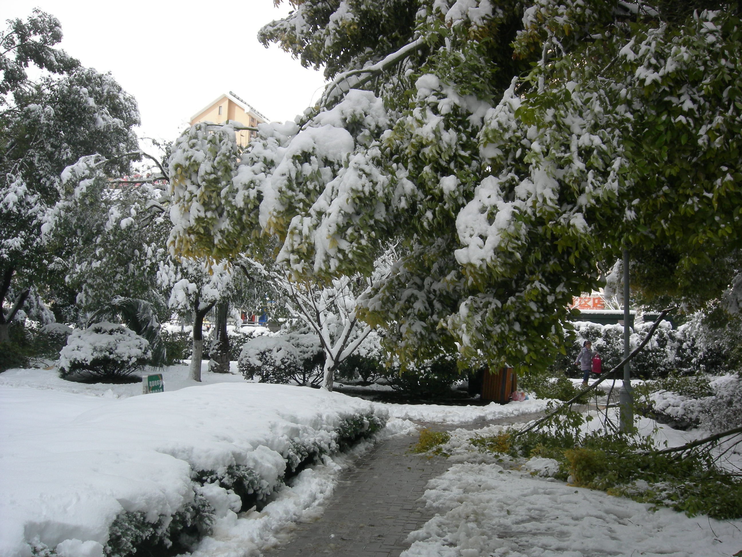 南京冬天的一场雪