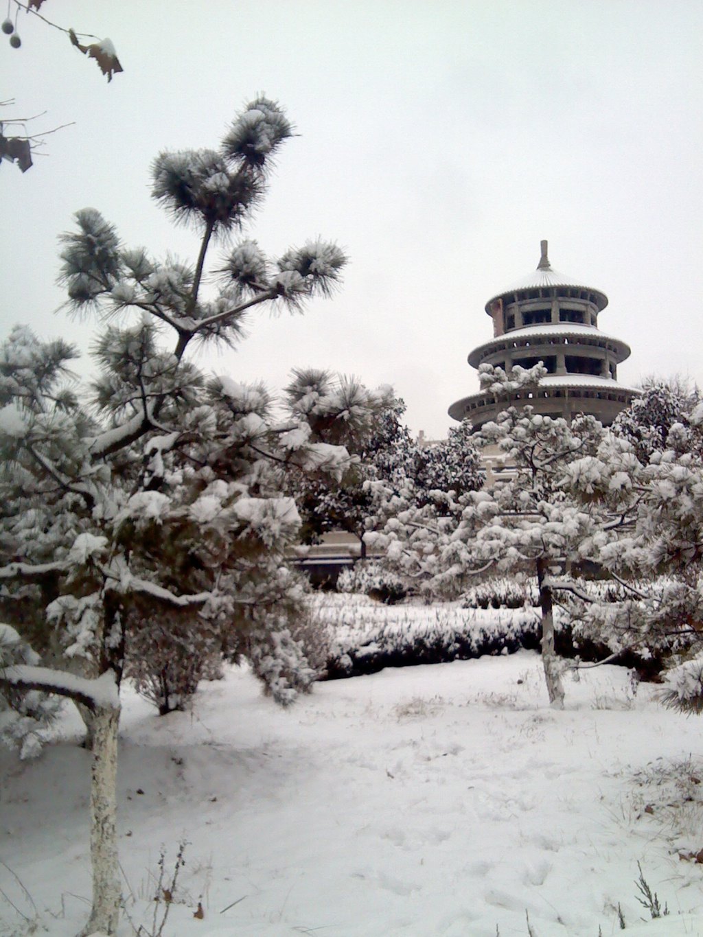 冬雪-莱芜雅鹿山