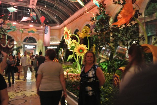 拉斯维加斯二日,佛罗里达Tampa三日,华盛顿二