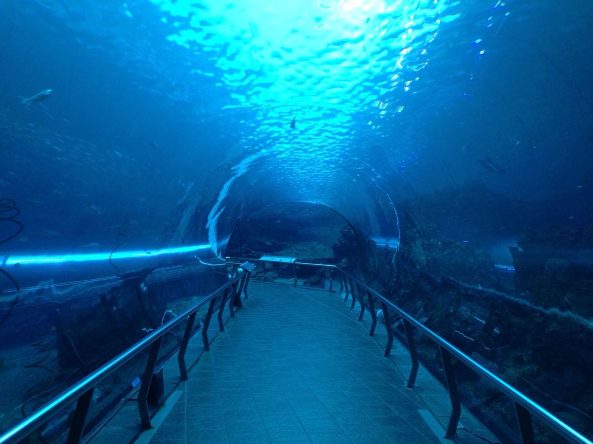 国立海洋生物博物馆