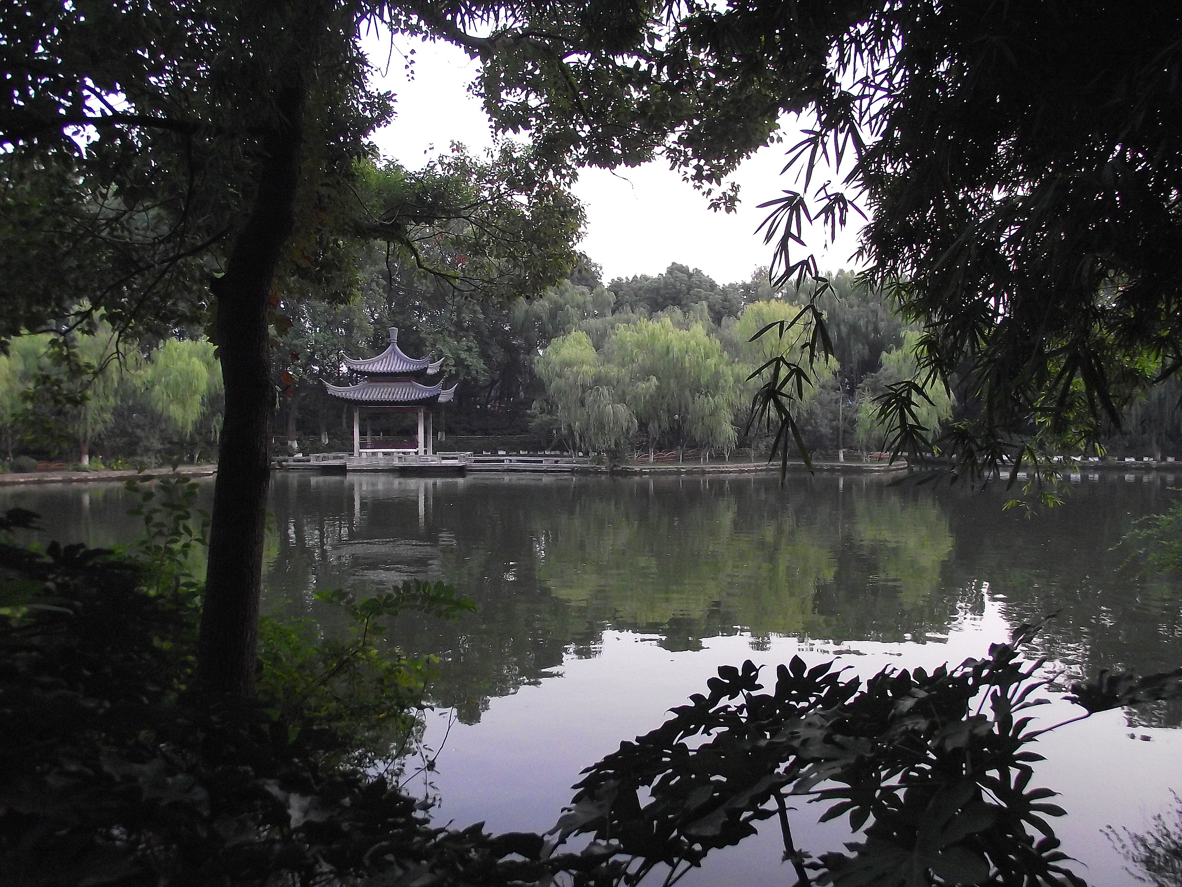 玩后从公园北门出,经新莲花庄路,东街到湖州大厦和骆驼桥,这时天已晚