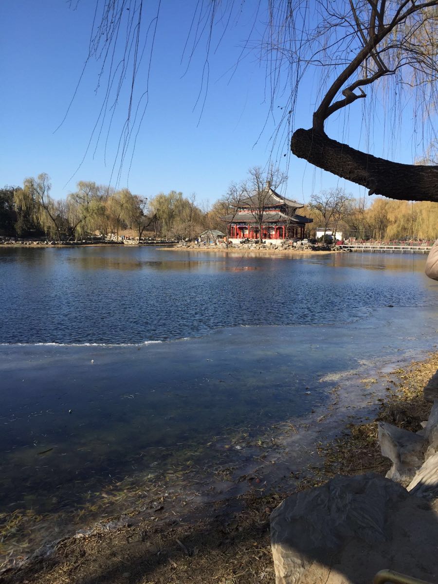 2019圆明园_旅游攻略_门票_地址_游记点评,北京旅游