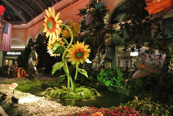 拉斯维加斯二日,佛罗里达Tampa三日,华盛顿二