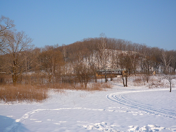 冰天雪地 盘点哈尔滨八大滑雪圣地