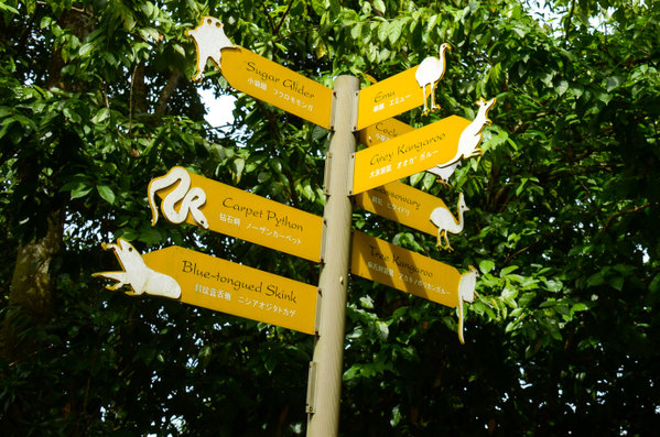 牵著小手去旅行之新加坡家庭游八大不可不体