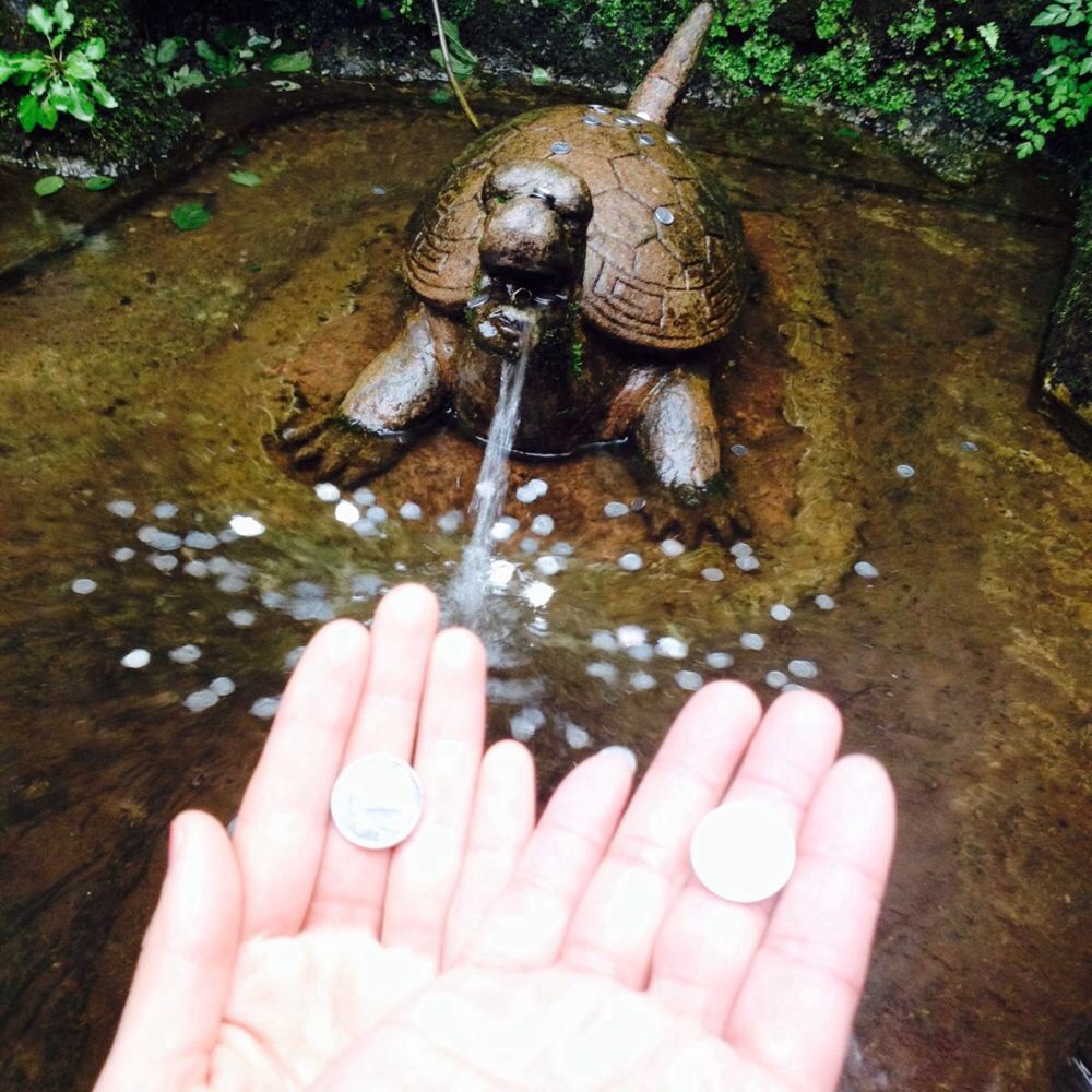  插曲徒步到雅女园有个乌龟许愿池