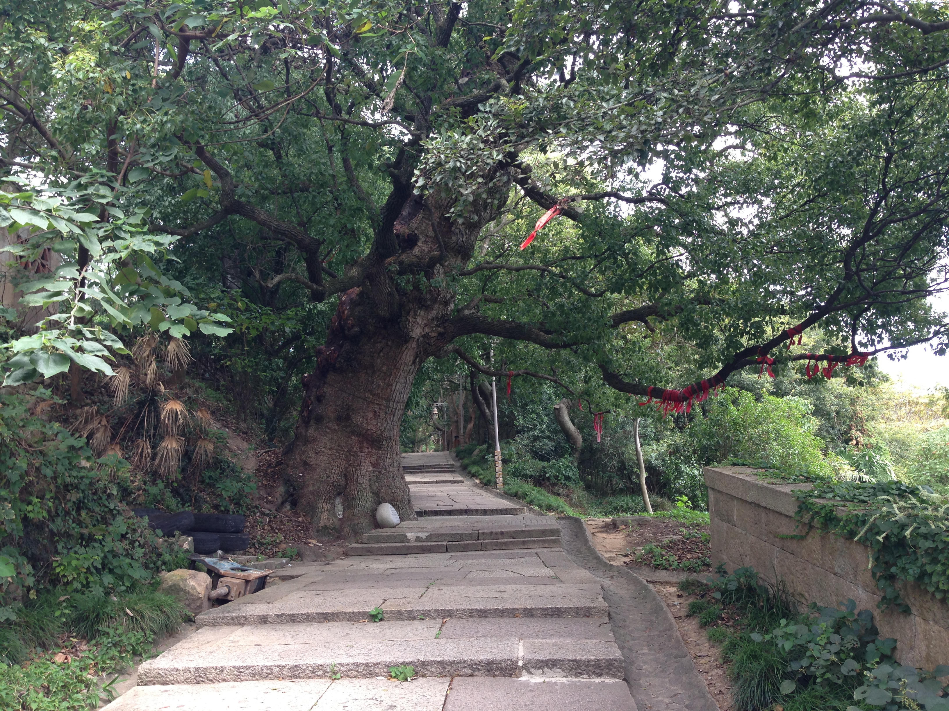 来道普陀山不明白，去得时候正好。